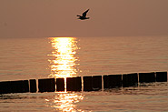Sonnenuntergang Strand Börgerende Rethwisch